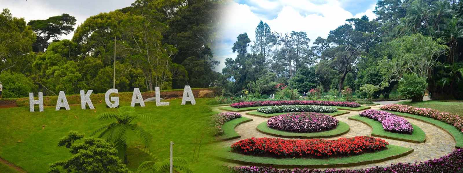 තාවකාලිකව වැසූ හක්ගල උද්‍යානය අද සිට විවෘතයි